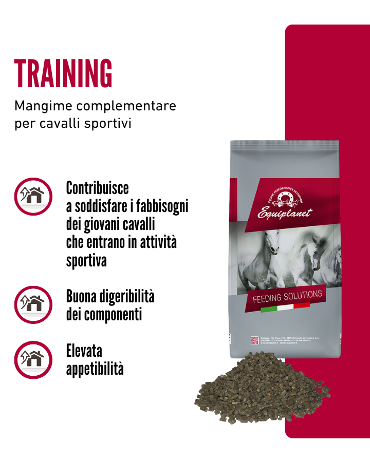 Training